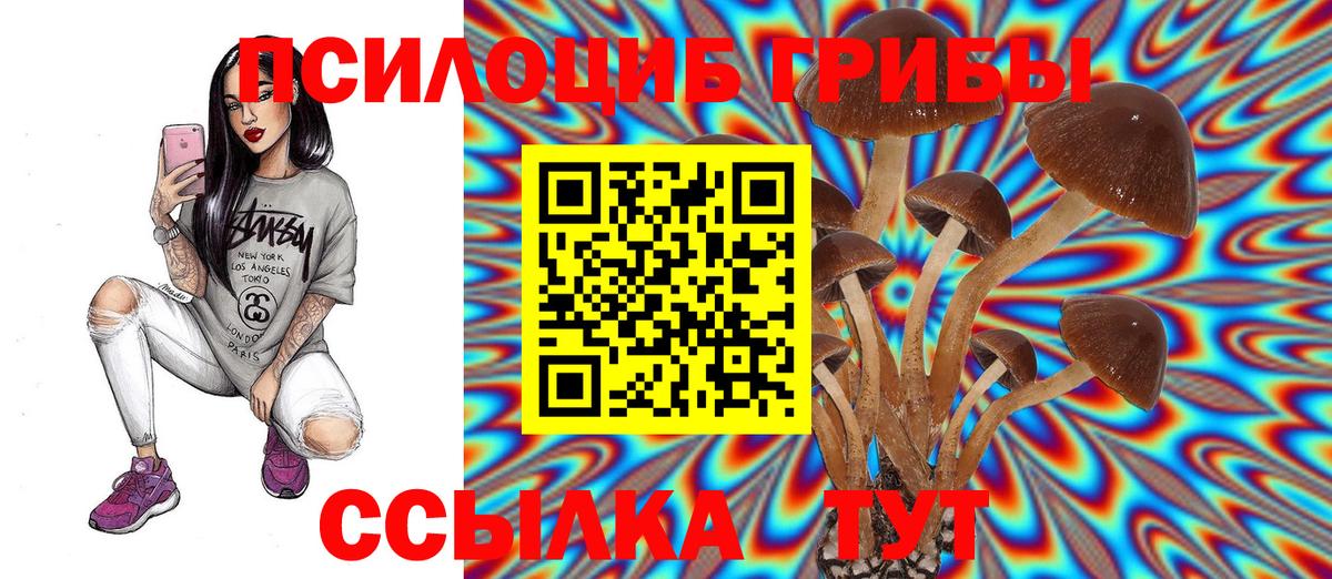 Апатиты  Псилоцибиновые грибы Magic Shrooms  Вход с VPN 