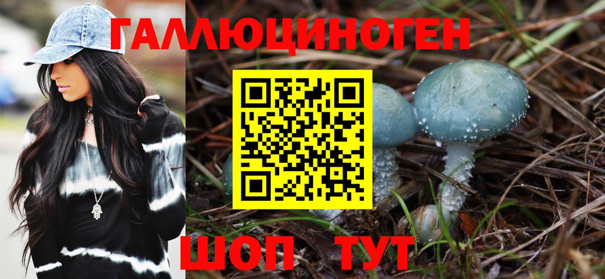 Псилоцибиновые грибы прущие грибы Апатиты